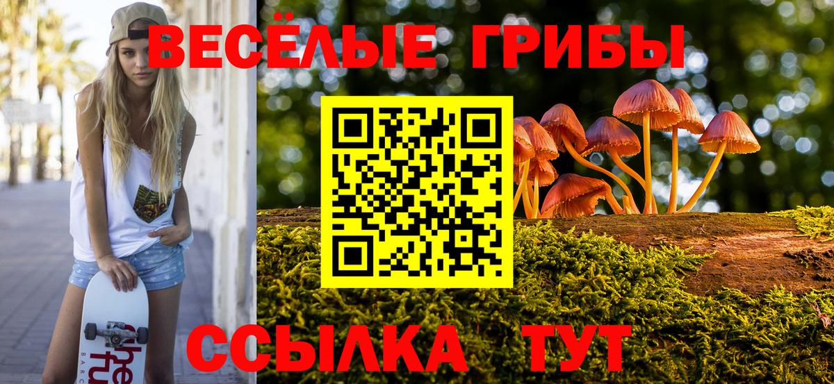 Галлюциногенные грибы Psilocybe  Галлюциногенные грибы ЛСД  купить наркоту  Вход с VPN  Рославль 